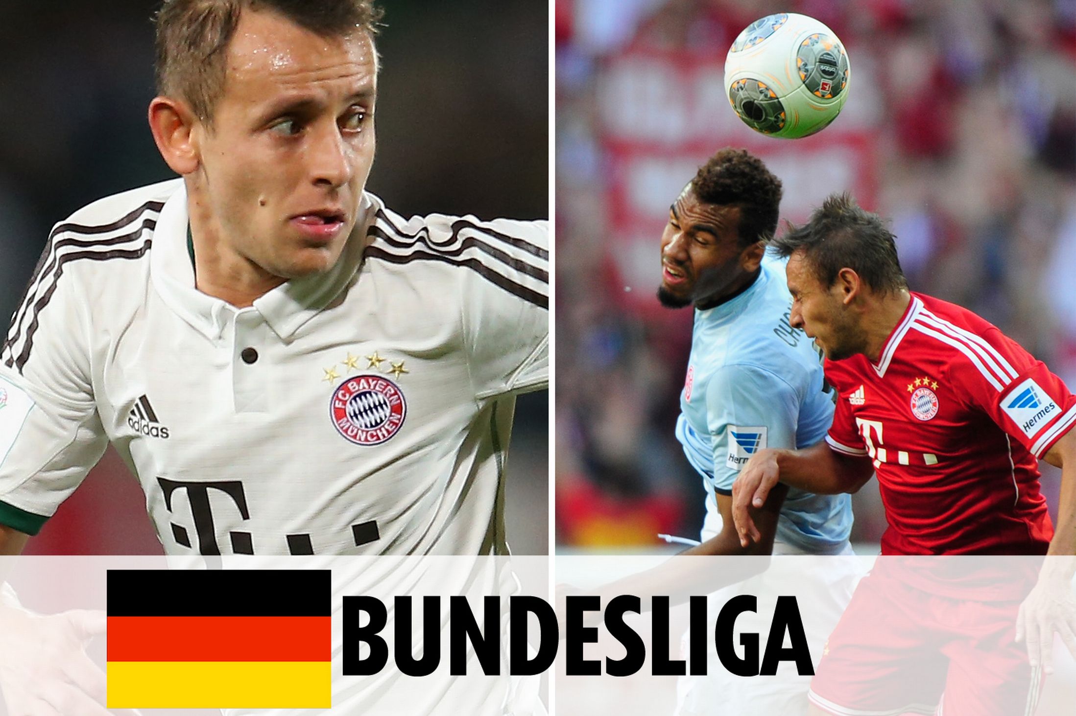 中国食品科学技术学会第十六届年会暨第十届中美食品业高层论坛在武汉召开